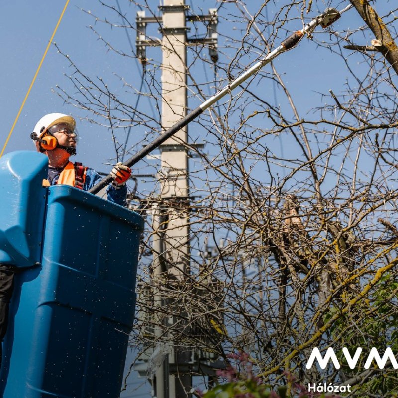 Tájékoztató ingatlantulajdonosok részére a villamos hálózatok körüli gallyazásról