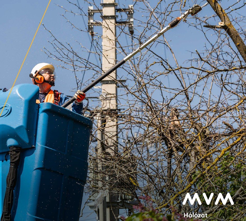 Tájékoztató ingatlantulajdonosok részére a villamos hálózatok körüli gallyazásról